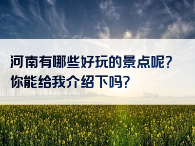 河南有哪些好玩的景点呢？你能给我介绍下吗？