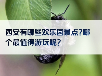 西安有哪些欢乐园景点？哪个最值得游玩呢？