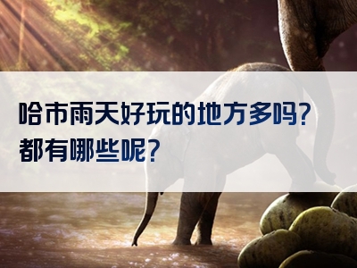 哈市雨天好玩的地方多吗？都有哪些呢？