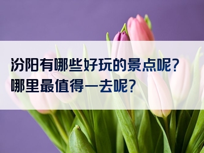 汾阳有哪些好玩的景点呢？哪里最值得一去呢？
