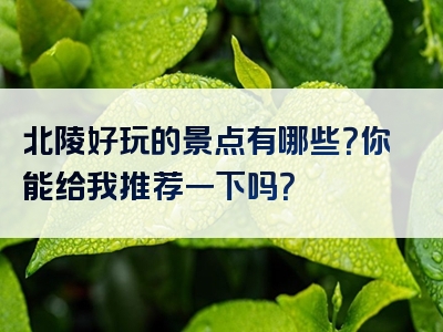 北陵好玩的景点有哪些？你能给我推荐一下吗？