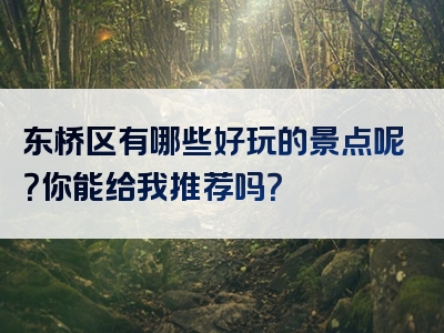 东桥区有哪些好玩的景点呢？你能给我推荐吗？