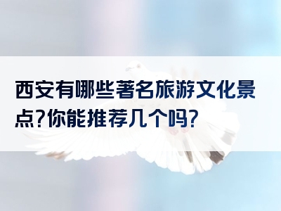 西安有哪些著名旅游文化景点？你能推荐几个吗？
