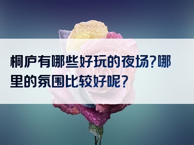 桐庐有哪些好玩的夜场？哪里的氛围比较好呢？