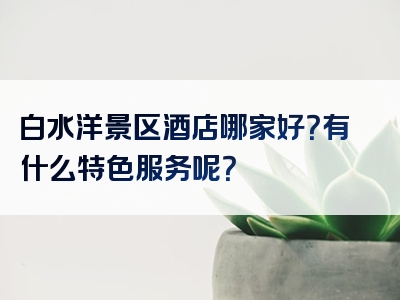 白水洋景区酒店哪家好？有什么特色服务呢？