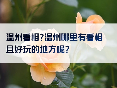 温州看相？温州哪里有看相且好玩的地方呢？
