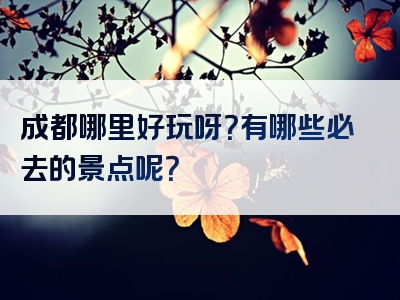 成都哪里好玩呀？有哪些必去的景点呢？