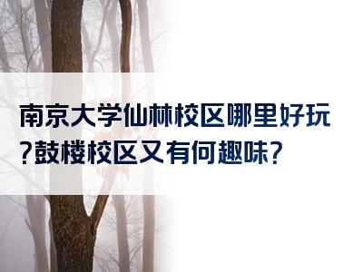 南京大学仙林校区哪里好玩？鼓楼校区又有何趣味？