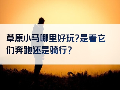 草原小马哪里好玩？是看它们奔跑还是骑行？