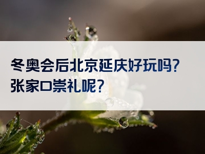 冬奥会后北京延庆好玩吗？张家口崇礼呢？