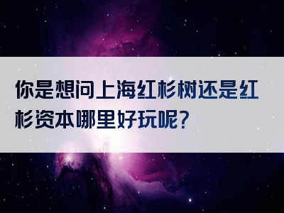 你是想问上海红杉树还是红杉资本哪里好玩呢？
