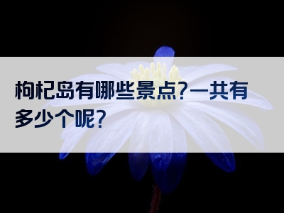 枸杞岛有哪些景点？一共有多少个呢？