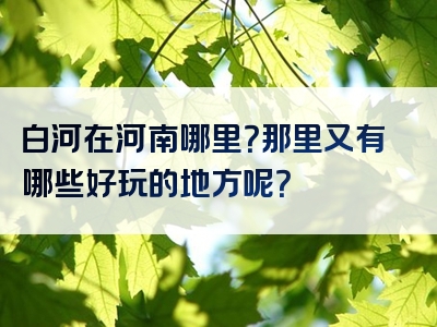 白河在河南哪里？那里又有哪些好玩的地方呢？