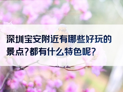 深圳宝安附近有哪些好玩的景点？都有什么特色呢？