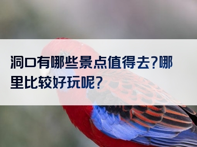 洞口有哪些景点值得去？哪里比较好玩呢？
