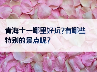 青海十一哪里好玩？有哪些特别的景点呢？