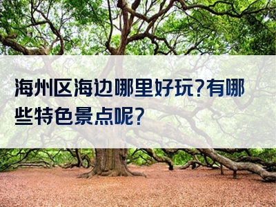 海州区海边哪里好玩？有哪些特色景点呢？