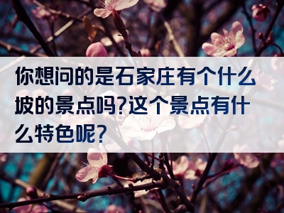 你想问的是石家庄有个什么坡的景点吗？这个景点有什么特色呢？