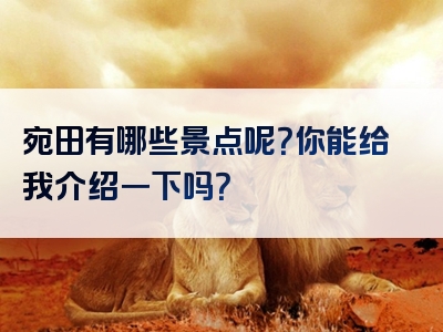 宛田有哪些景点呢？你能给我介绍一下吗？