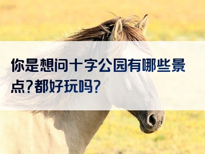 你是想问十字公园有哪些景点？都好玩吗？