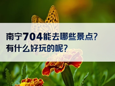南宁704能去哪些景点？有什么好玩的呢？