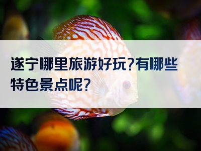 遂宁哪里旅游好玩？有哪些特色景点呢？