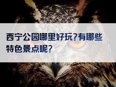 西宁公园哪里好玩？有哪些特色景点呢？