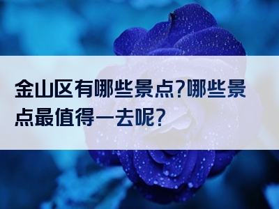 金山区有哪些景点？哪些景点最值得一去呢？