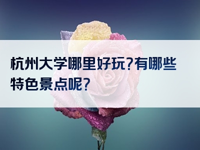 杭州大学哪里好玩？有哪些特色景点呢？