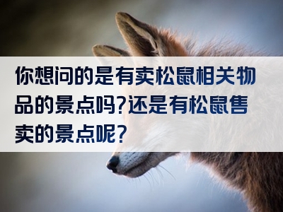 你想问的是有卖松鼠相关物品的景点吗？还是有松鼠售卖的景点呢？