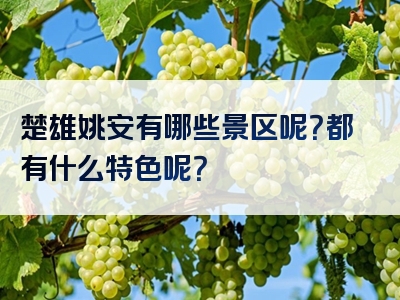 楚雄姚安有哪些景区呢？都有什么特色呢？