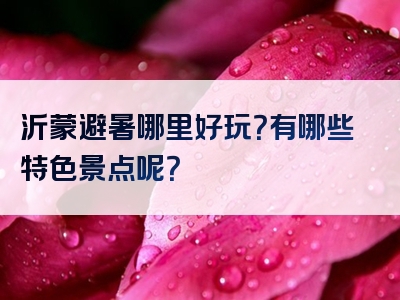 沂蒙避暑哪里好玩？有哪些特色景点呢？