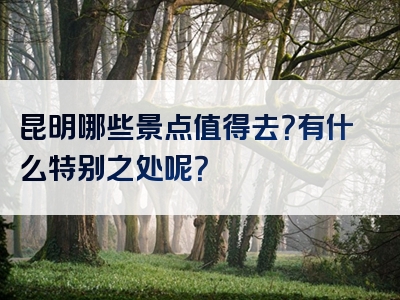 昆明哪些景点值得去？有什么特别之处呢？