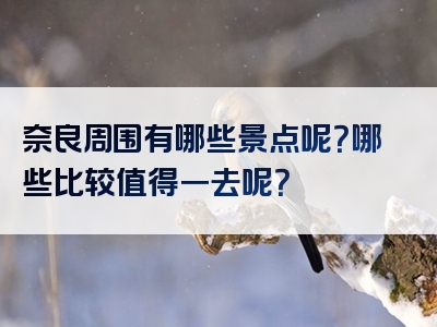 奈良周围有哪些景点呢？哪些比较值得一去呢？