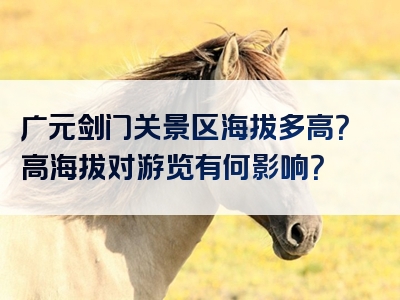 广元剑门关景区海拔多高？高海拔对游览有何影响？