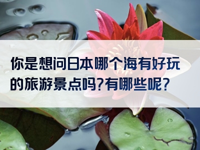 你是想问日本哪个海有好玩的旅游景点吗？有哪些呢？