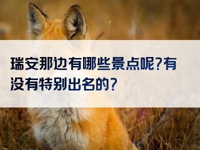 瑞安那边有哪些景点呢？有没有特别出名的？