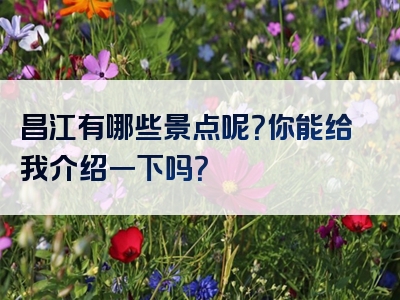 昌江有哪些景点呢？你能给我介绍一下吗？