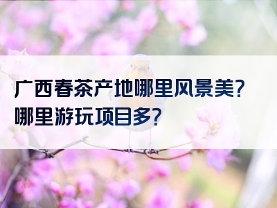 广西春茶产地哪里风景美？哪里游玩项目多？