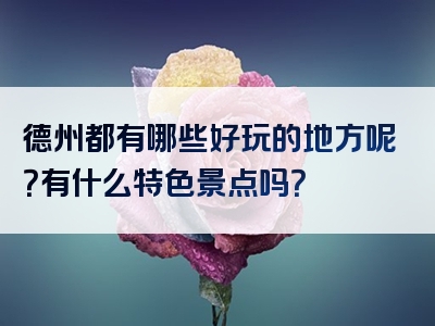 德州都有哪些好玩的地方呢？有什么特色景点吗？
