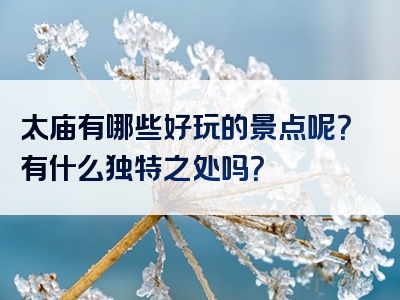 太庙有哪些好玩的景点呢？有什么独特之处吗？