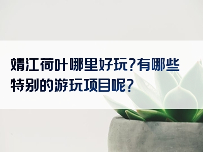 靖江荷叶哪里好玩？有哪些特别的游玩项目呢？