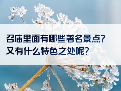 召庙里面有哪些著名景点？又有什么特色之处呢？