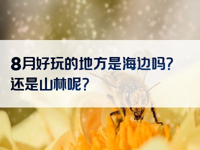 8月好玩的地方是海边吗？还是山林呢？