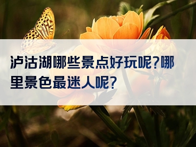 泸沽湖哪些景点好玩呢？哪里景色最迷人呢？