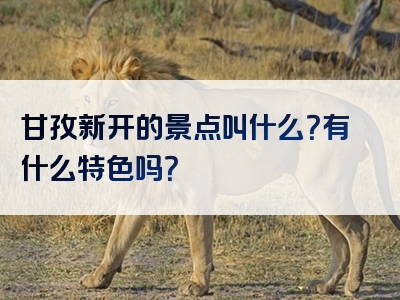 甘孜新开的景点叫什么？有什么特色吗？