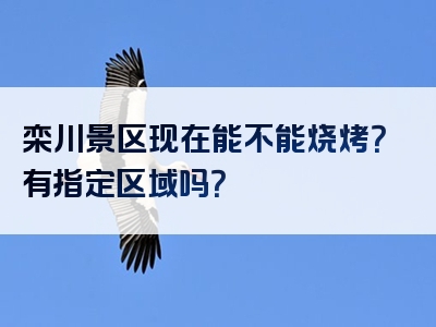 栾川景区现在能不能烧烤？有指定区域吗？