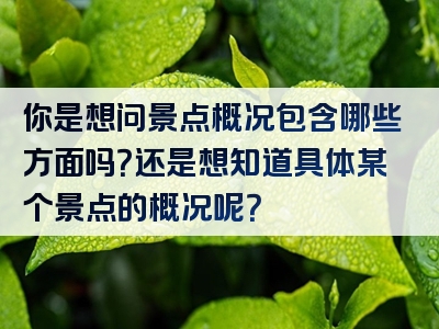 你是想问景点概况包含哪些方面吗？还是想知道具体某个景点的概况呢？