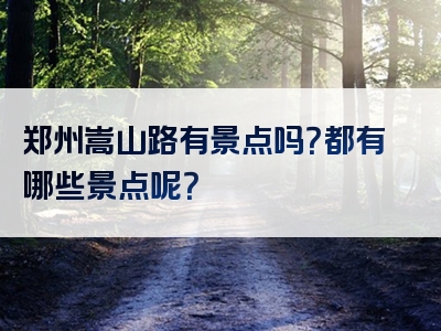 郑州嵩山路有景点吗？都有哪些景点呢？