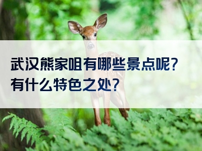武汉熊家咀有哪些景点呢？有什么特色之处？